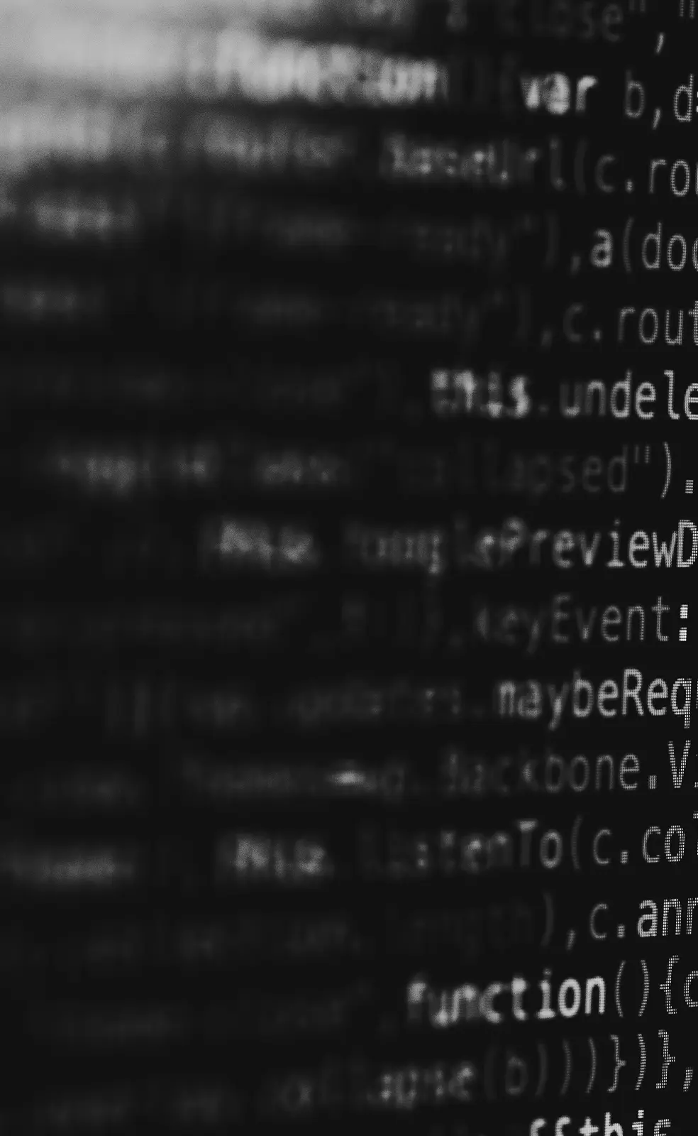 Lines of source code in close-up, partly out of focus